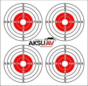 Hedef Kağıdı, Baskılı Renkli 100 Adet