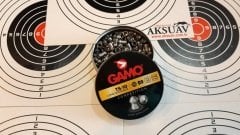 Gamo TS-10 4.5 mm Havalı Tüfek Saçması